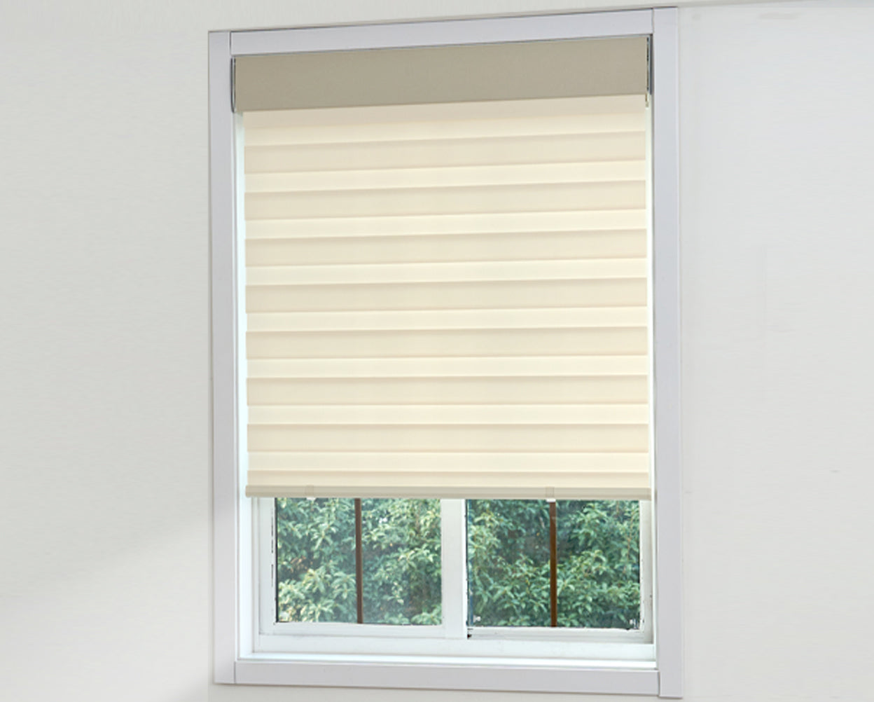 Diffused Light: Zebra Half-Open