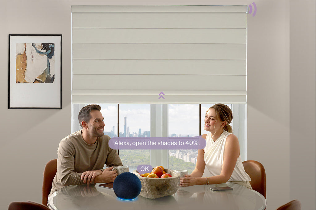 electric shades for windows