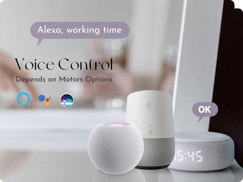 voice control