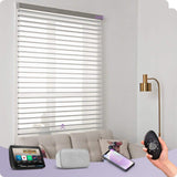 Graywind Electric Tri-Shade Blinds | Wide Series
