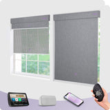 dual shade blinds