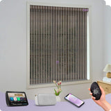 Graywind Electric Light Filtering Roller Blinds | Nature Series