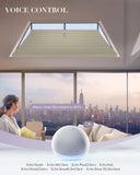 Graywind Electric Angled Blinds | Isosceles Trapezoid