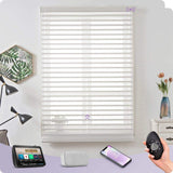 Graywind Electric Tri-Shade Blinds | Wide Series