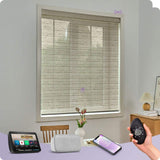 Graywind Electric Light Filtering Roller Blinds | Nature Series