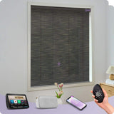 Graywind Electric Light Filtering Roller Blinds | Nature Series