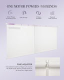 Graywind Electric Extra Large Roller Blinds