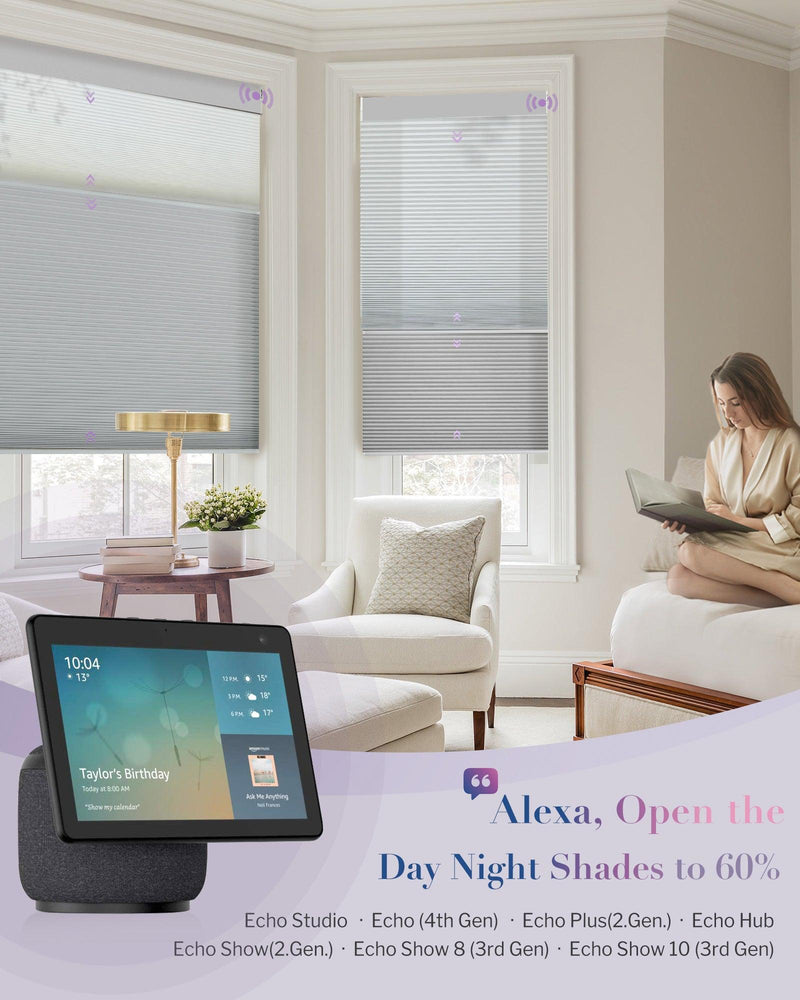 Graywind Electric Day Night Pleated Blinds | Blackout Series