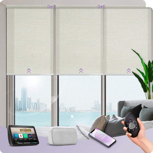 Graywind Electric Light Filtering Roller Blinds | Designed Series